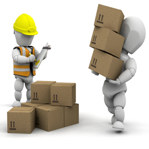 Manual Handling Train the Trainer